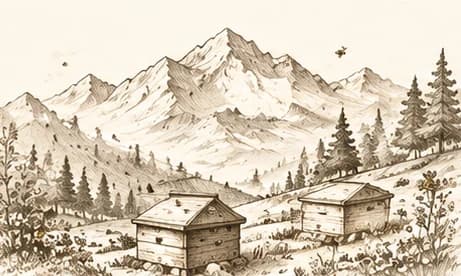 Beehives set high in the Himalayan mountains