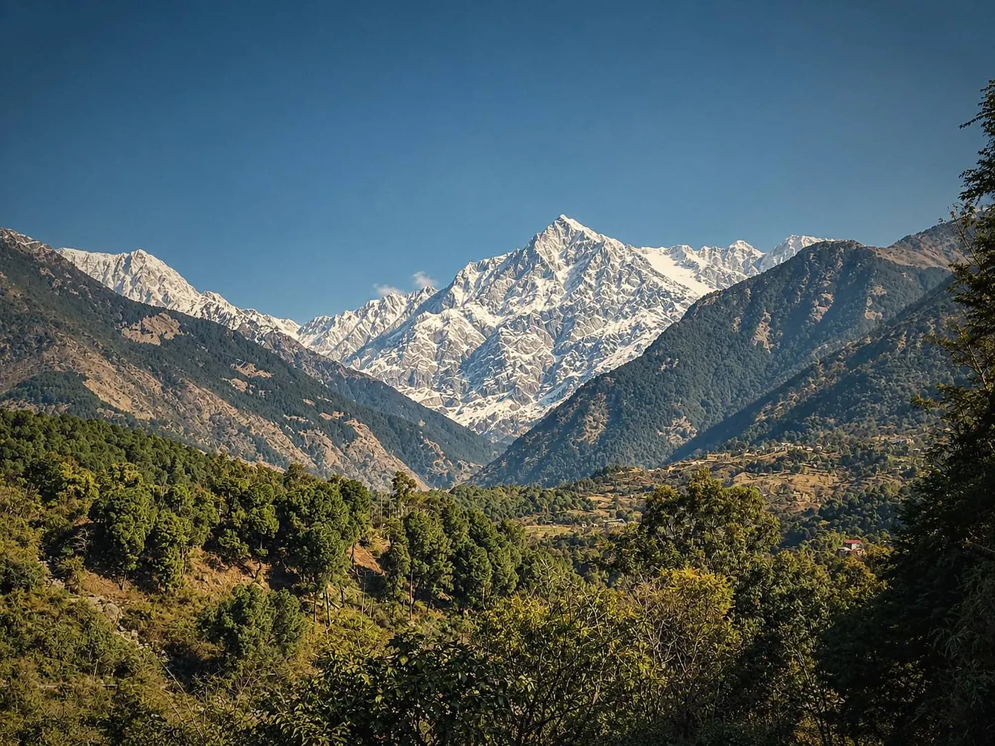 Snow-covered Himalayan peaks rising above forested slopes and a quiet valley