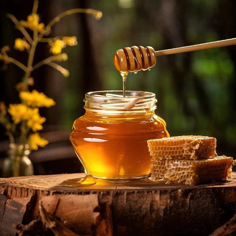 Wild Honey from High Altitude of Manali: Source, Taste & Tradition
