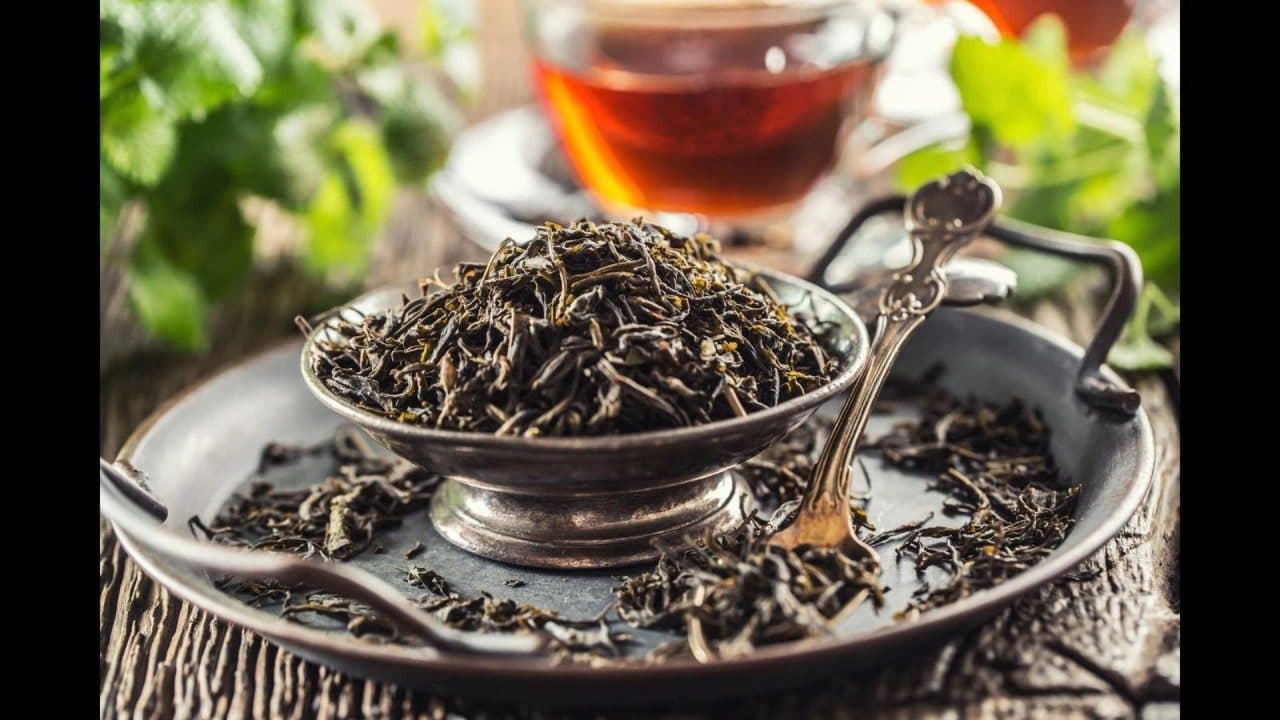 Kangra Tea